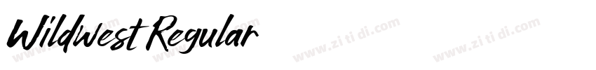 Wildwest Regular字体转换